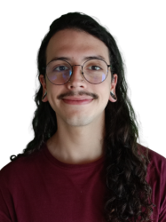 David Santiago Figueroa Reina